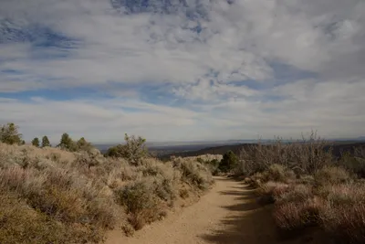 DSC_6239 (Large).JPG